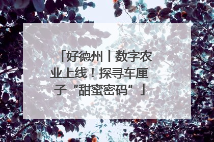 好德州丨数字农业上线！探寻车厘子“甜蜜密码”