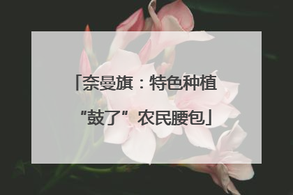 奈曼旗：特色种植“鼓了”农民腰包