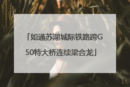 如通苏湖城际铁路跨G50特大桥连续梁合龙