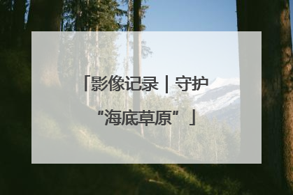 影像记录｜守护“海底草原”