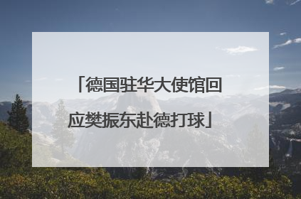 德国驻华大使馆回应樊振东赴德打球