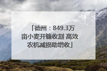 德州：849.3万亩小麦开镰收割 高效农机减损助增收