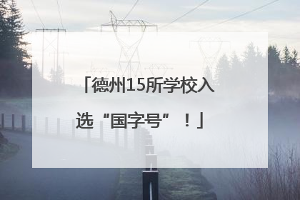 德州15所学校入选“国字号”！