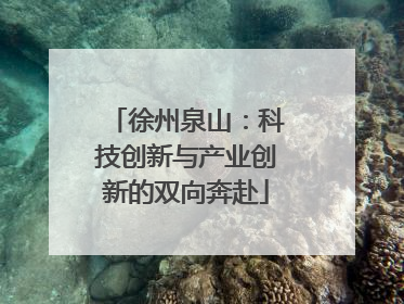 徐州泉山：科技创新与产业创新的双向奔赴