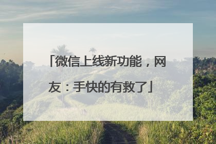 微信上线新功能，网友：手快的有救了