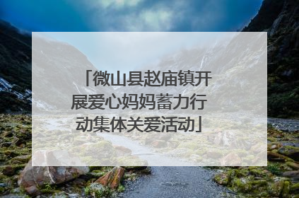 微山县赵庙镇开展爱心妈妈蓄力行动集体关爱活动