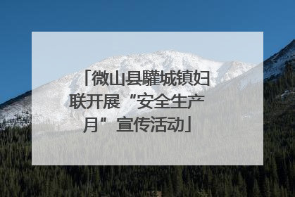 微山县驩城镇妇联开展“安全生产月”宣传活动