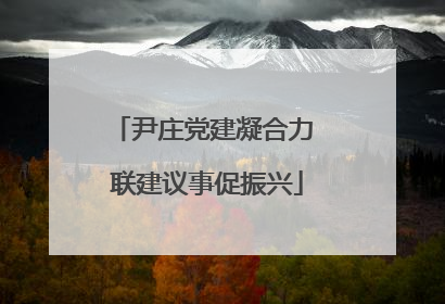 尹庄党建凝合力 联建议事促振兴