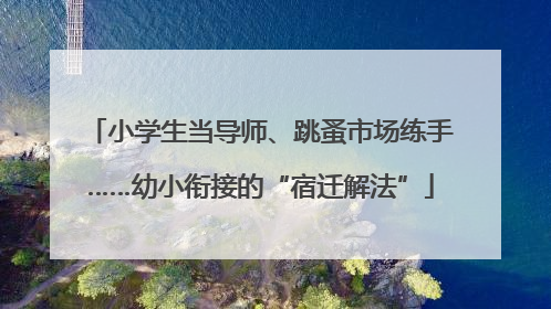 小学生当导师、跳蚤市场练手……幼小衔接的“宿迁解法”