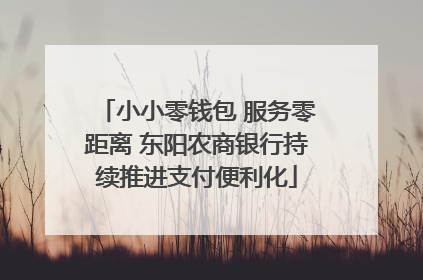 小小零钱包 服务零距离 东阳农商银行持续推进支付便利化