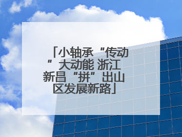 小轴承“传动”大动能 浙江新昌“拼”出山区发展新路