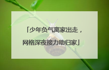 少年负气离家出走，网格深夜接力助归家