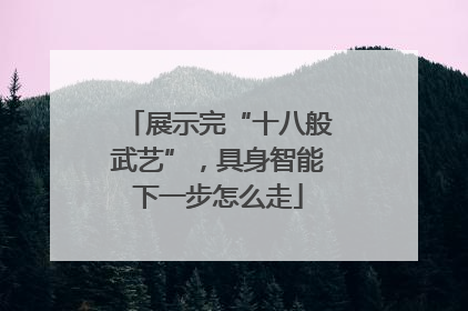 展示完“十八般武艺”，具身智能下一步怎么走