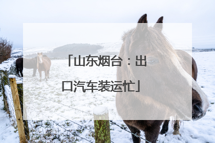 山东烟台：出口汽车装运忙