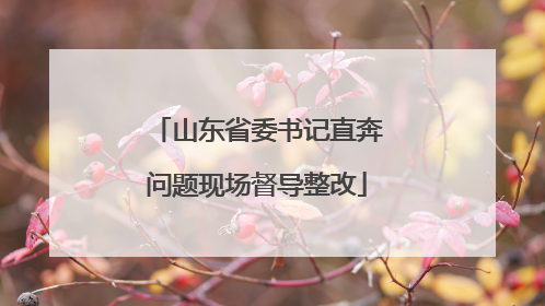 山东省委书记直奔问题现场督导整改
