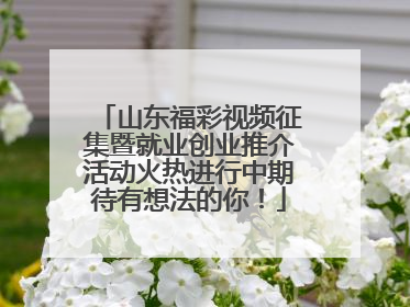 山东福彩视频征集暨就业创业推介活动火热进行中期待有想法的你！