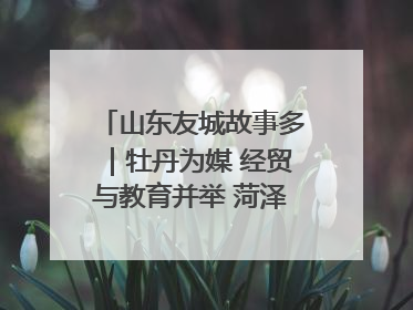 山东友城故事多｜牡丹为媒 经贸与教育并举 菏泽国际“朋友圈”扩容升级