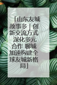 山东友城故事多｜创新交流方式 深化多元合作 聊城加速构建全球友城新格局
