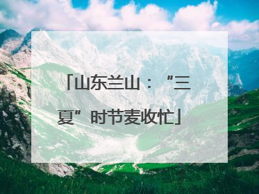 山东兰山：“三夏”时节麦收忙