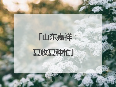 山东嘉祥：夏收夏种忙