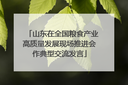 山东在全国粮食产业高质量发展现场推进会作典型交流发言