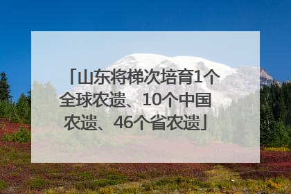 山东将梯次培育1个全球农遗、10个中国农遗、46个省农遗