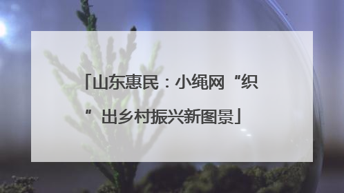 山东惠民：小绳网“织”出乡村振兴新图景
