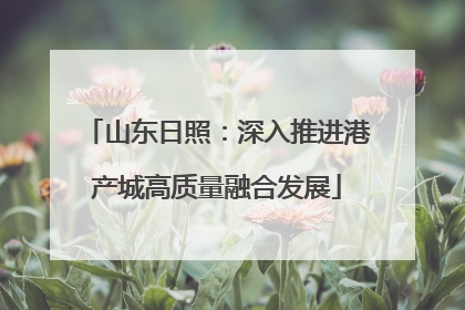 山东日照：深入推进港产城高质量融合发展