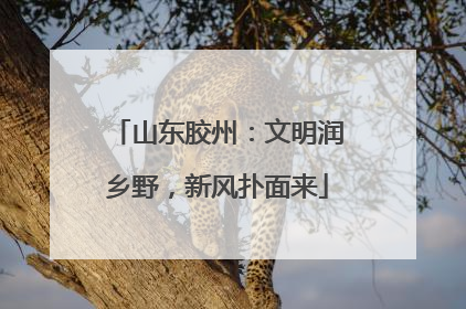 山东胶州：文明润乡野，新风扑面来