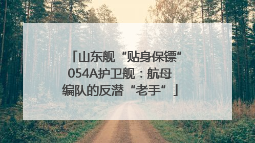 山东舰“贴身保镖”054A护卫舰：航母编队的反潜“老手”
