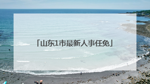 山东1市最新人事任免