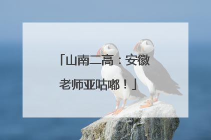 山南二高：安徽老师亚咕嘟！