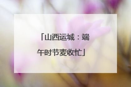 山西运城：端午时节麦收忙