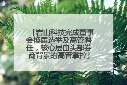 岩山科技完成董事会换届选举及高管聘任，核心层由头部券商背景的高管掌控
