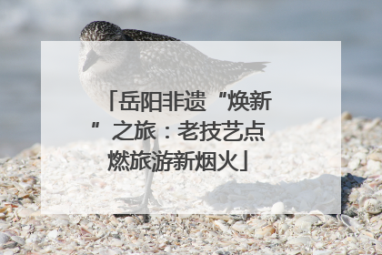 岳阳非遗“焕新”之旅：老技艺点燃旅游新烟火