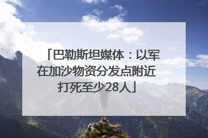 巴勒斯坦媒体：以军在加沙物资分发点附近打死至少28人