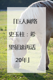 巨人网络史玉柱：希望征途再活20年