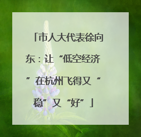 市人大代表徐向东：让“低空经济”在杭州飞得又“稳”又“好”
