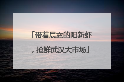 带着晨露的阳新虾，抢鲜武汉大市场