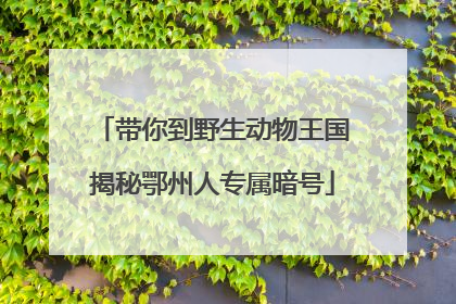 带你到野生动物王国揭秘鄂州人专属暗号