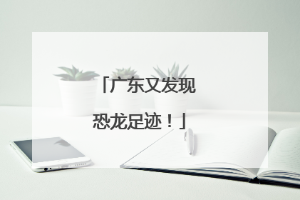 广东又发现恐龙足迹！