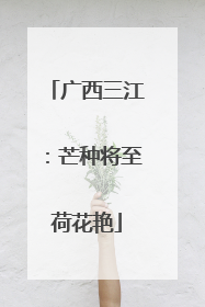 广西三江：芒种将至荷花艳