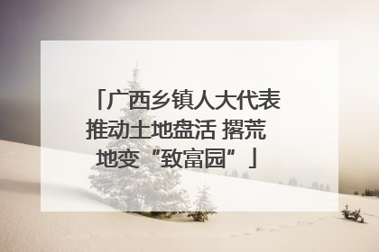 广西乡镇人大代表推动土地盘活 撂荒地变“致富园”