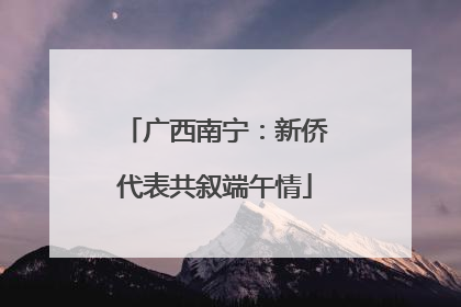 广西南宁：新侨代表共叙端午情