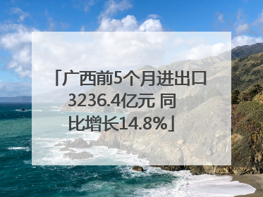 广西前5个月进出口3236.4亿元 同比增长14.8%