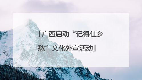 广西启动“记得住乡愁”文化外宣活动