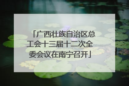 广西壮族自治区总工会十三届十二次全委会议在南宁召开