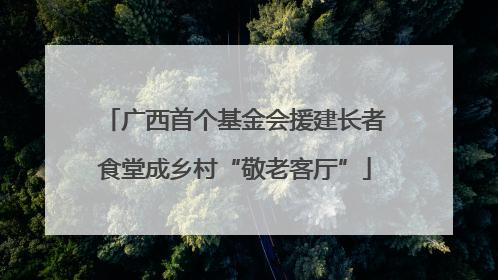 广西首个基金会援建长者食堂成乡村“敬老客厅”