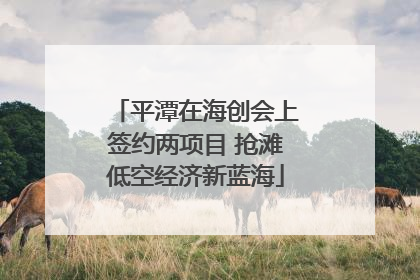 平潭在海创会上签约两项目 抢滩低空经济新蓝海