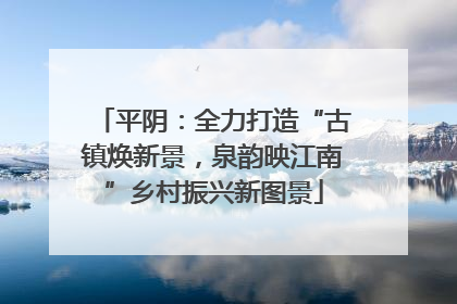 平阴：全力打造“古镇焕新景，泉韵映江南”乡村振兴新图景